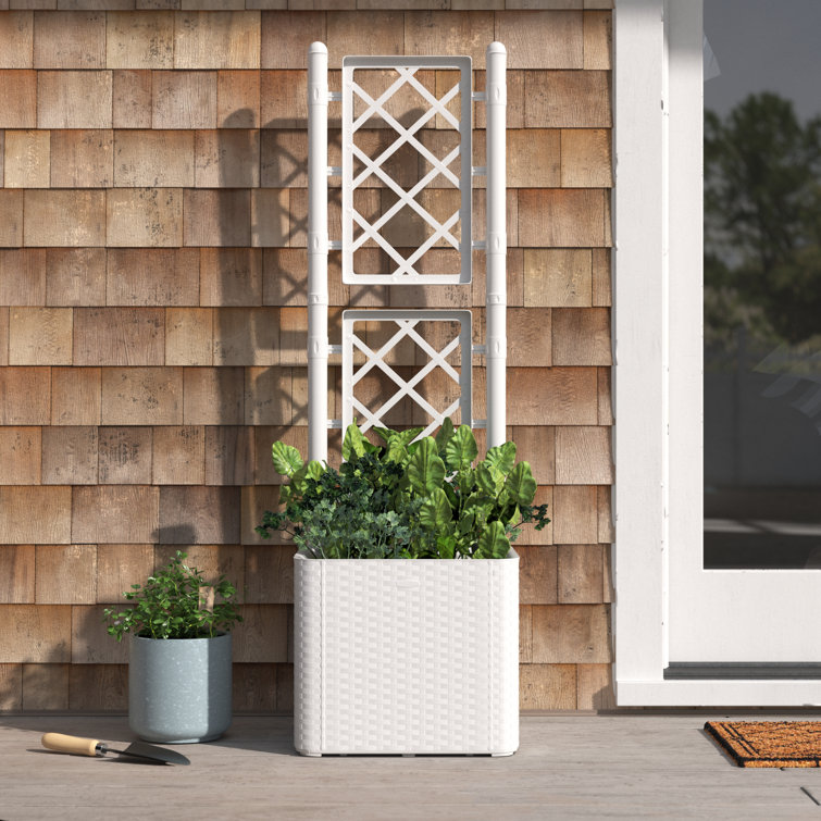 Sol 72 Outdoor™ Lucea SelfWatering Plastic Planter Box with Trellis